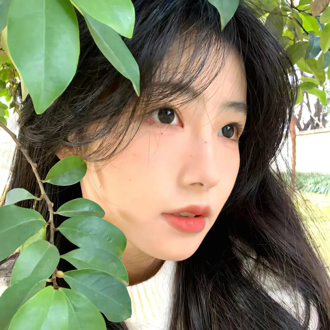 记忆风暴